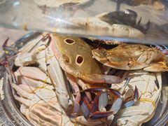 -争先鲜·蒸汽海鲜自助·鲜切牛肉