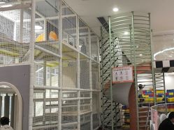 -宝燕乐园(春申店)
