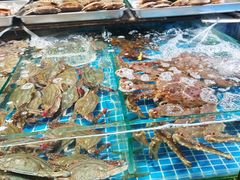-大东门农贸市场(东顺城街)
