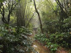 -广州市白云山风景名胜区