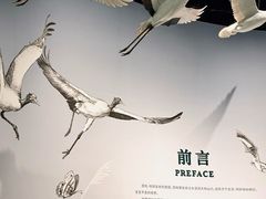 -中国湿地博物馆