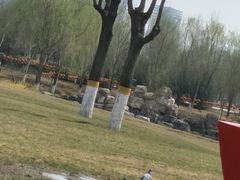 -河北省园博园
