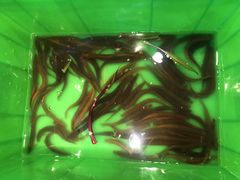 -滋味轩餐厅·贺胜桥土鸡汤(紫沙路店)