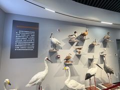 -天津古林古海岸遗迹博物馆