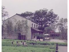 -田园东方蜜桃村的田野营地