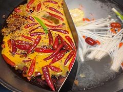 -阳阳老火锅(小南门店)