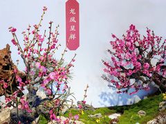 -颐和园