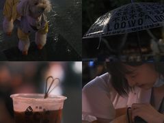 -金茂览秀城