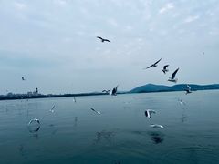 -蠡湖大桥公园