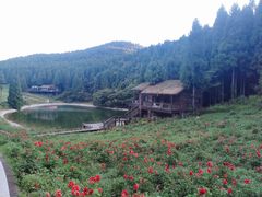 -武陵山森林公园