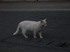 -荔湾湖公园