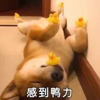 -南京大牌档(凯德大峡谷店)