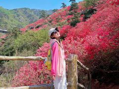 -木兰云雾山