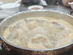 -鸽鸟轩(石岐店)