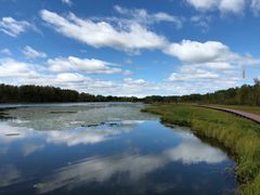 -塞罕坝国家级自然保护区