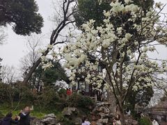 -拙政园