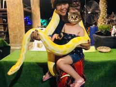 -清迈夜间动物园