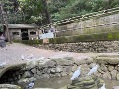 -燕塞湖鸟语林景区