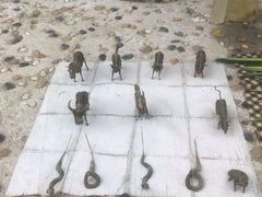 -长兴太湖图影湿地文化园