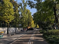 -成都市活水公园