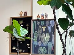 -echoes coffee回响咖啡(红山店)