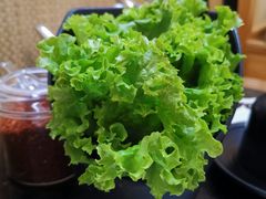 生菜-九田家黑牛烤肉料理(太奥广场店)