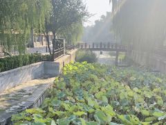 -什刹海