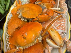 -板桥海鲜广场(文明东店)