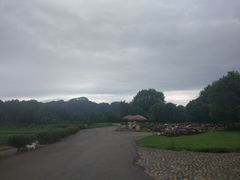 -九曲溪竹筏码头