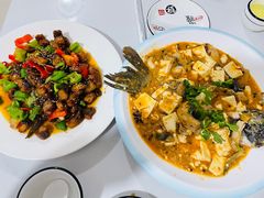 -煲来饱去冷水鱼