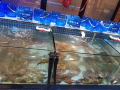 -小天鹅戴斯酒店鲸鲨百汇创作料理