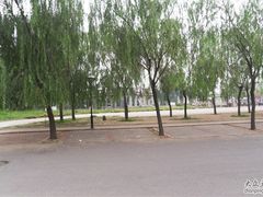 -回龙观体育文化公园