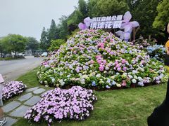 -上海滨江森林公园
