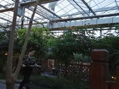 -汤山翠谷生态餐厅