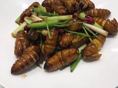 -南山鲜虾面·活鲜小馆·海味大连菜(南山总店)