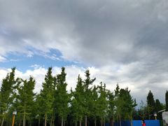 -五泉山公园
