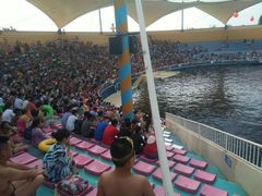 -秦皇岛乐岛海洋王国