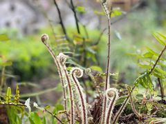 景观位-青城甲(青城山店)