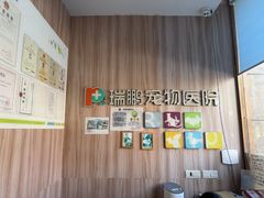 -瑞鹏宠物医院·内科·中兽医·骨科(苗圃店)