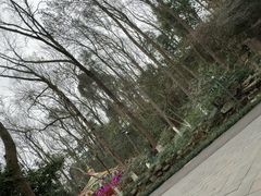 -杭州少年儿童公园