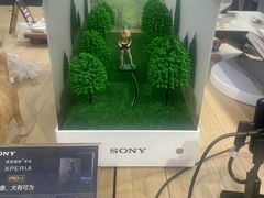 -Sony Store 索尼(上海淮海中路店)