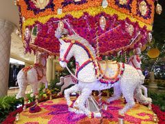 -拉斯维加斯永利酒店