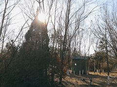 -绿堤公园