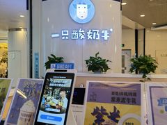 -一只酸奶牛(百联南岸上海城店)