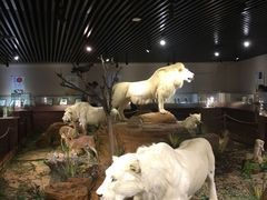 -陕西自然博物馆