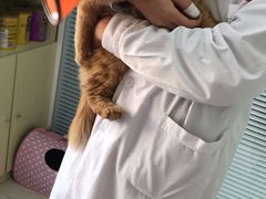 -瑞派福兴宠物医院犬猫全科·骨科·中西医结合(河东店)