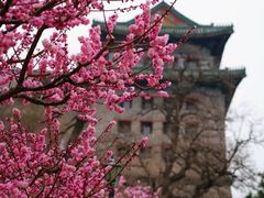 -北京明城墙遗址公园
