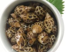 捞汁花螺-通安客栈中餐厅·何家小馆