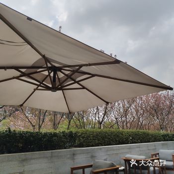 咖啡搭配的还是甜点。 经过中环一路向观山湖