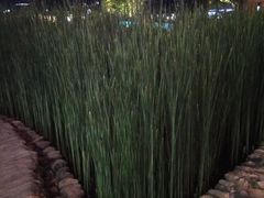 -活水公园